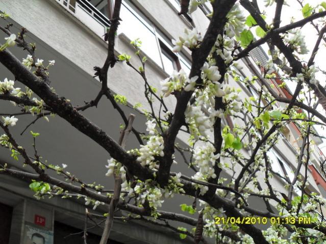 Name:  003.jpg
Views: 1683
Size:  68.2 KB