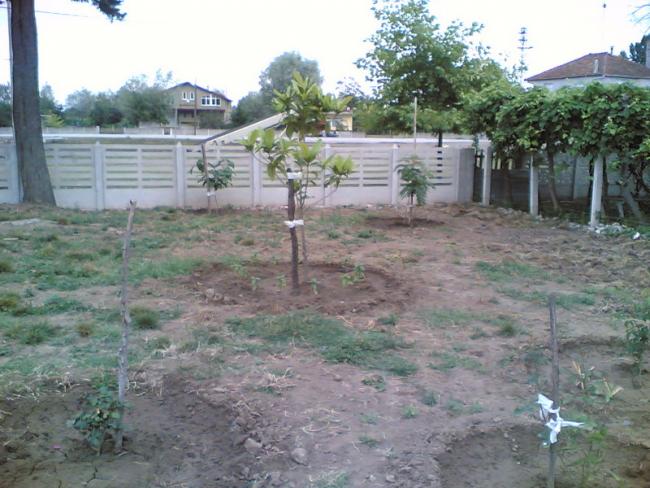 Name:  05082008(009).jpg
Views: 3945
Size:  56.7 KB