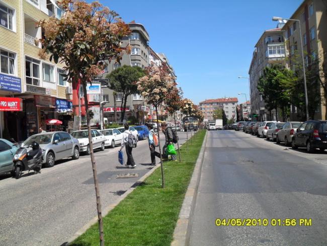 Name:  006.jpg
Views: 3566
Size:  65.3 KB