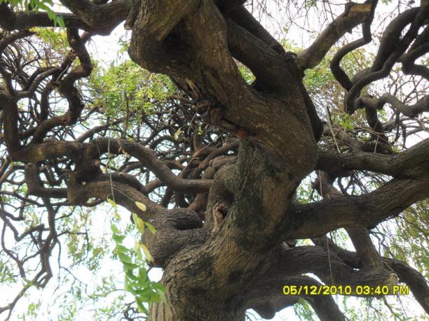 Name:  180.jpg
Views: 5824
Size:  71.8 KB