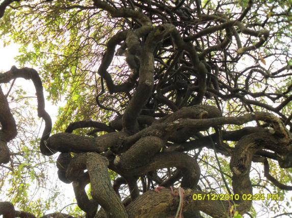 Name:  127.jpg
Views: 5820
Size:  73.5 KB