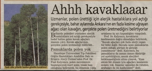 Name:  kavak.jpg
Views: 18867
Size:  41.2 KB