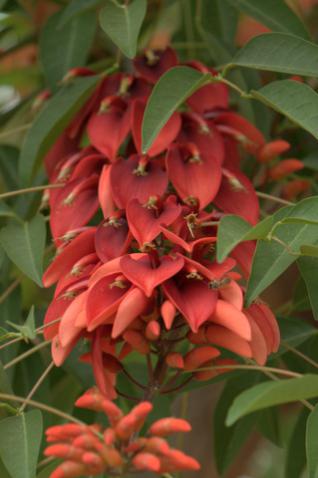 Name:  _DSC4836.jpg
Views: 19698
Size:  22.0 KB