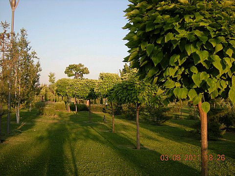 Name:  DSCN5185.jpg
Views: 21679
Size:  61.7 KB