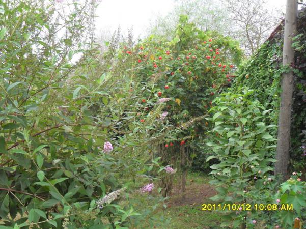 Name:  073.jpg
Views: 2862
Size:  72.2 KB