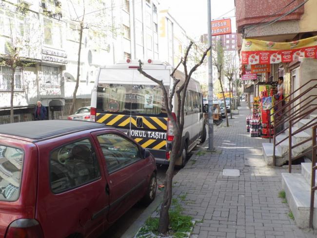 Name:  59-059.jpg
Views: 974
Size:  61.3 KB