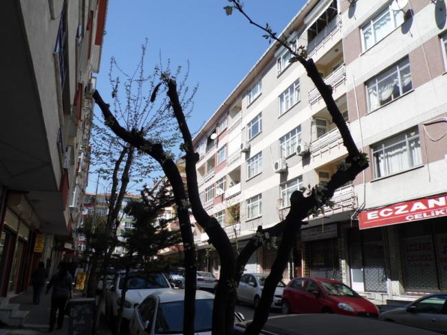 Name:  57-057.jpg
Views: 968
Size:  59.3 KB