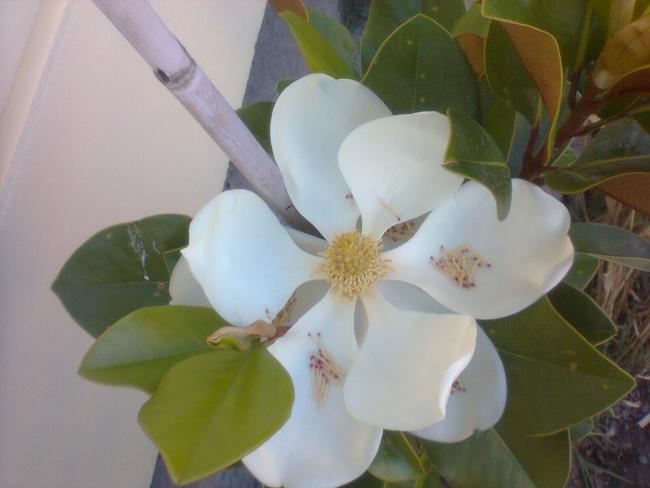 Name:  Fotoraf0046.jpg
Views: 1256
Size:  29.2 KB