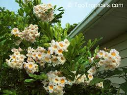 Name:  uploadfromtaptalk1458236076053.jpg
Views: 725
Size:  19.3 KB