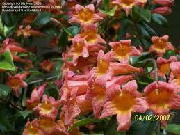 Name:  uploadfromtaptalk1458236088319.jpg
Views: 345
Size:  17.2 KB