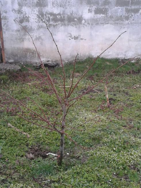 Name:  IMG-20170424-WA0027.jpg
Views: 1276
Size:  75.4 KB
