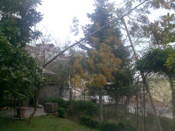 Name:  Image019.jpg
Views: 2134
Size:  48.2 KB