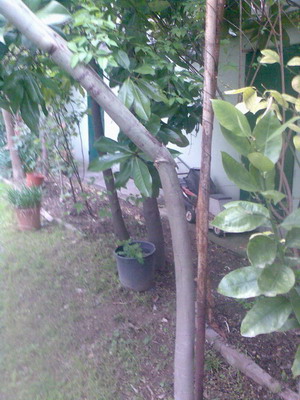 Name:  Image020.jpg
Views: 2111
Size:  50.1 KB