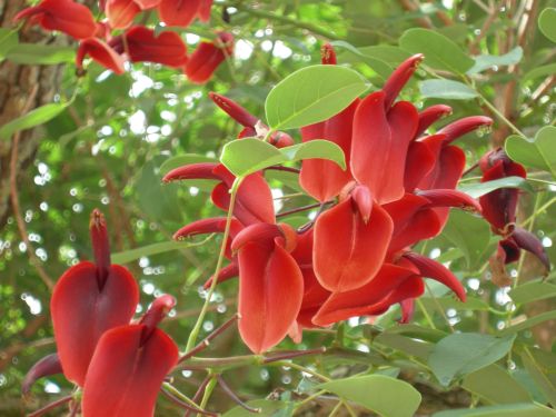 Name:  mercanagac02.jpg
Views: 26651
Size:  38.9 KB