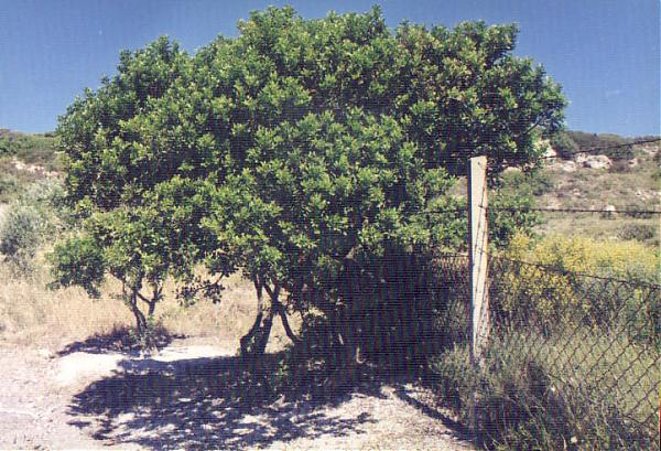 Name:  1.jpg
Views: 9083
Size:  73.6 KB