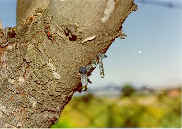 Name:  8.jpg
Views: 14564
Size:  25.8 KB