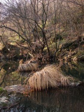 Name:  karacaky 480.jpg
Views: 2548
Size:  51.2 KB