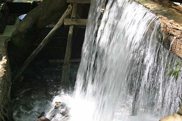 Name:  IMG_5303.JPG
Views: 3117
Size:  68.3 KB