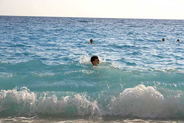 Name:  IMG_5514.JPG
Views: 2773
Size:  60.7 KB