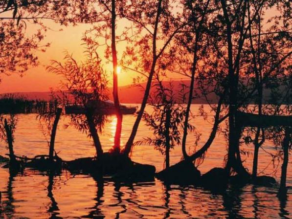 Name:  Sapanca Gl 6.jpg
Views: 2975
Size:  68.4 KB