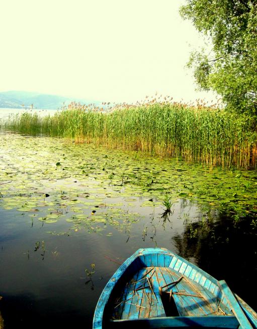 Name:  sapancam (bizim mekan).jpg
Views: 3127
Size:  69.0 KB