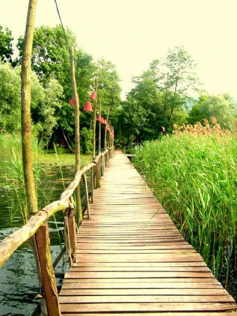 Name:  sapancammm bizim mekan.jpg
Views: 7875
Size:  71.7 KB