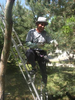 Name:  DSCN7096.JPG
Views: 5472
Size:  47.2 KB
