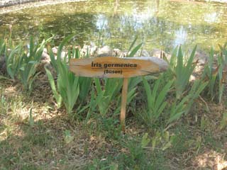 Name:  DSCN7110.JPG
Views: 5291
Size:  40.6 KB