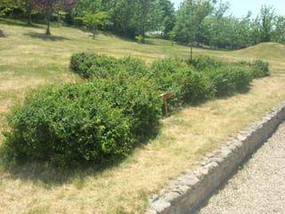 Name:  DSCN7139.JPG
Views: 5007
Size:  38.4 KB