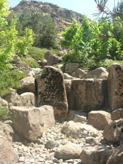 Name:  DSCN7153.JPG
Views: 5173
Size:  61.5 KB