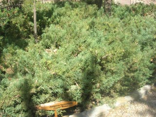 Name:  DSCN7150.JPG
Views: 5093
Size:  49.7 KB