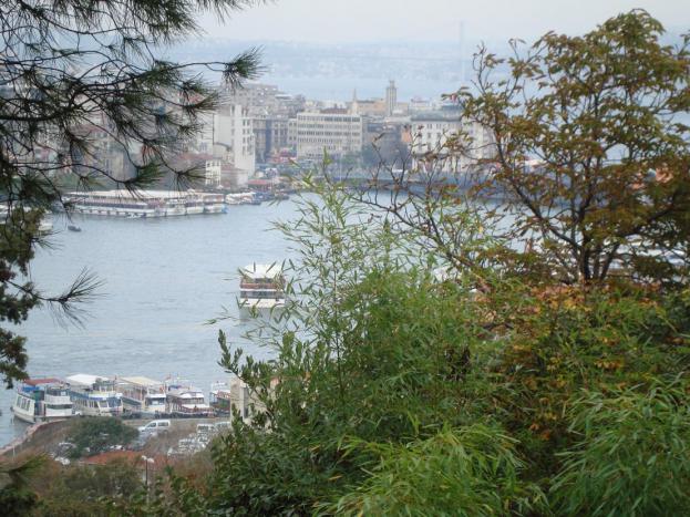 Name:  -  Botanik bahesi 282.jpg
Views: 938
Size:  70.6 KB