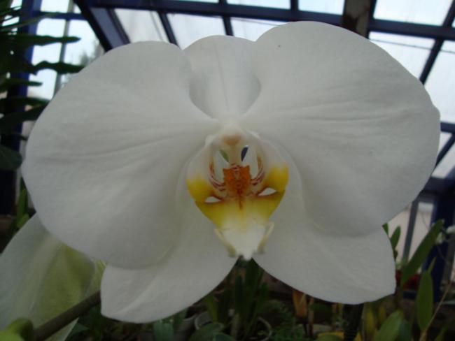 Name:  . Botanik bahesi 569.jpg
Views: 1518
Size:  25.9 KB