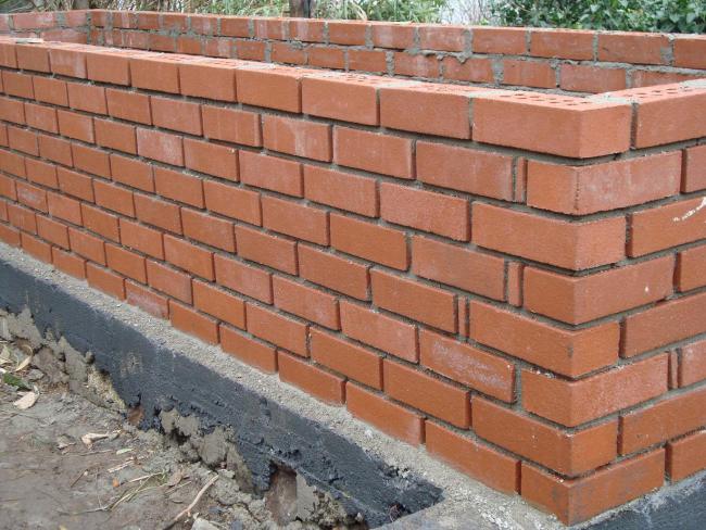 Name:  . Botanik bahesi 610.jpg
Views: 778
Size:  64.3 KB