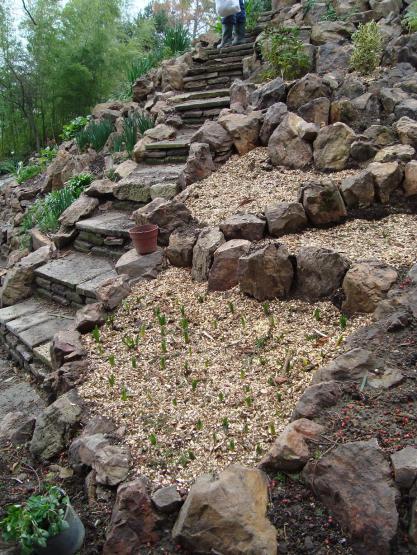 Name:  . Botanik bahesi 619.jpg
Views: 1026
Size:  73.9 KB