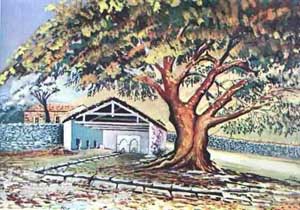 Name:  tablo015.jpg
Views: 3465
Size:  58.7 KB