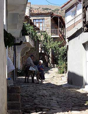 Name:  gokceada_imbros_zeytinli_street_img_4440_.jpg
Views: 4230
Size:  68.6 KB