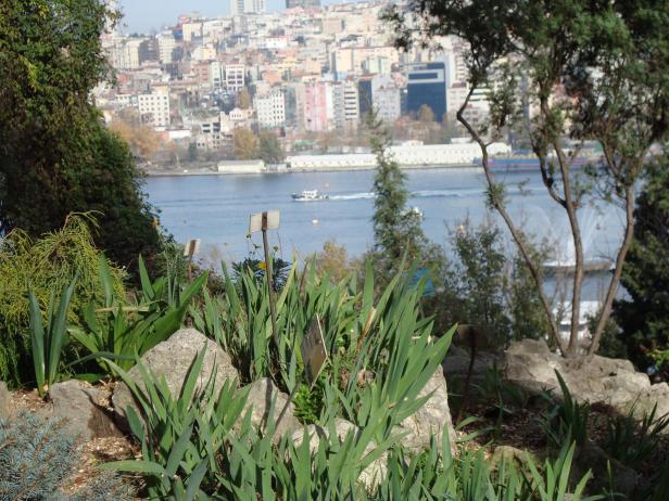 Name:  . Botanik bahesi 692.jpg
Views: 717
Size:  70.6 KB