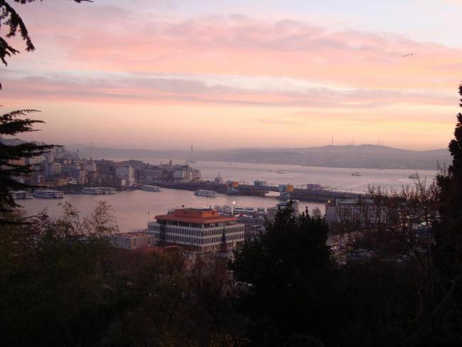 Name:  . Botanik bahesi 693.jpg
Views: 669
Size:  32.3 KB