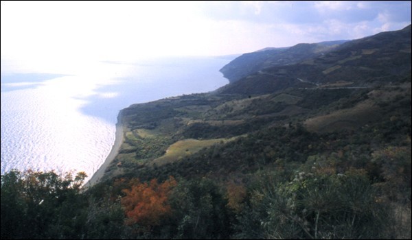 Name:  11.jpg
Views: 13741
Size:  44.3 KB