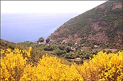 Name:  f.jpg
Views: 10538
Size:  21.8 KB