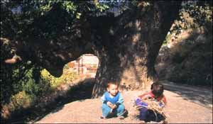 Name:  04.jpg
Views: 10349
Size:  38.7 KB