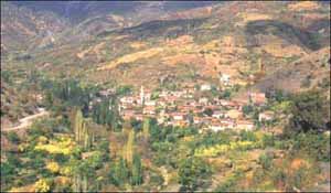 Name:  01.jpg
Views: 10354
Size:  40.1 KB