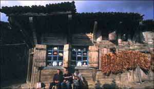 Name:  03.jpg
Views: 10340
Size:  36.2 KB