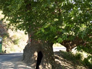 Name:  ucmakdere_6.jpg
Views: 15274
Size:  56.7 KB