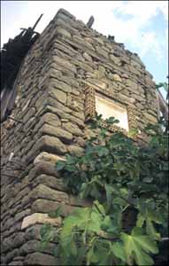 Name:  14.jpg
Views: 9875
Size:  43.0 KB