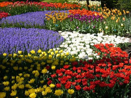 Name:  Trkiye'nin Botanik Bahesi Samsun.jpg
Views: 24872
Size:  64.0 KB