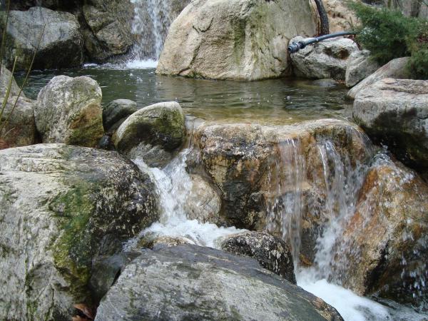 Name:  Baltaliman Japon bahesi 40.jpg
Views: 3745
Size:  70.9 KB