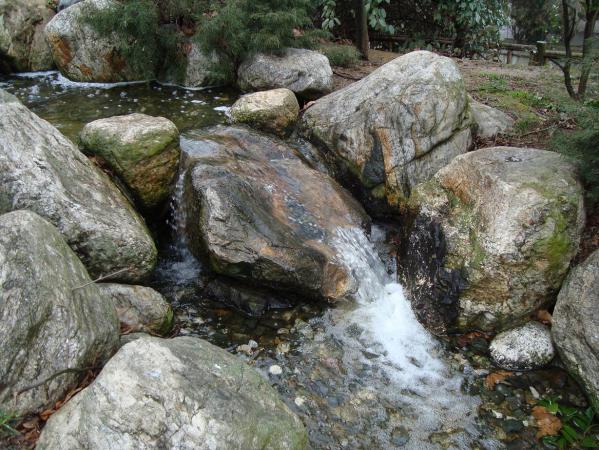 Name:  Baltaliman Japon bahesi 41.jpg
Views: 1431
Size:  70.8 KB