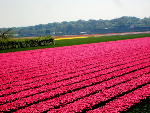 Name:  HDLLANDA LSSE 020.jpg
Views: 16815
Size:  70.8 KB
